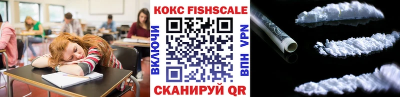 Cocaine Fish Scale  где найти наркотики  Ельня 
