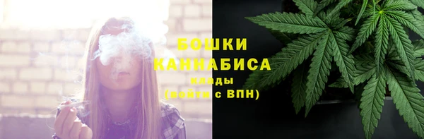 СК Аркадак