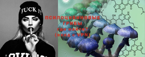 PSILOCYBIN Армянск