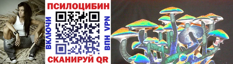 Псилоцибиновые грибы Psilocybine cubensis kraken маркетплейс Ельня